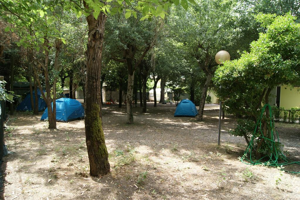 מרינה די מסה Camping Dolce Sole חדר תמונה